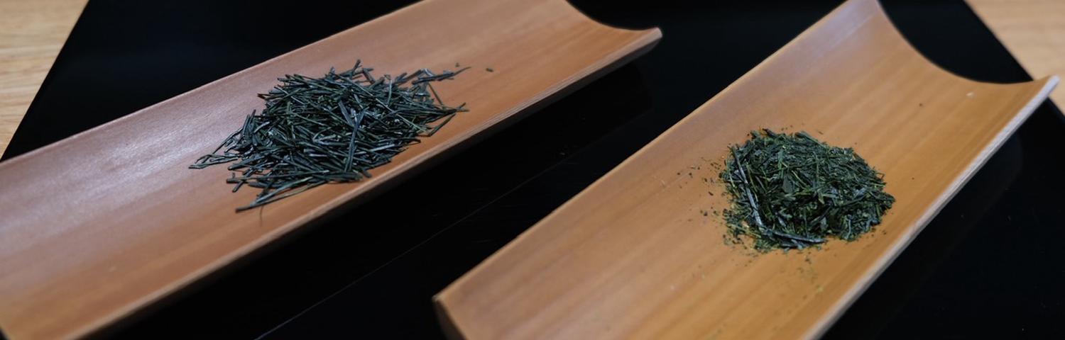 日本茶「茶のいろ教室」